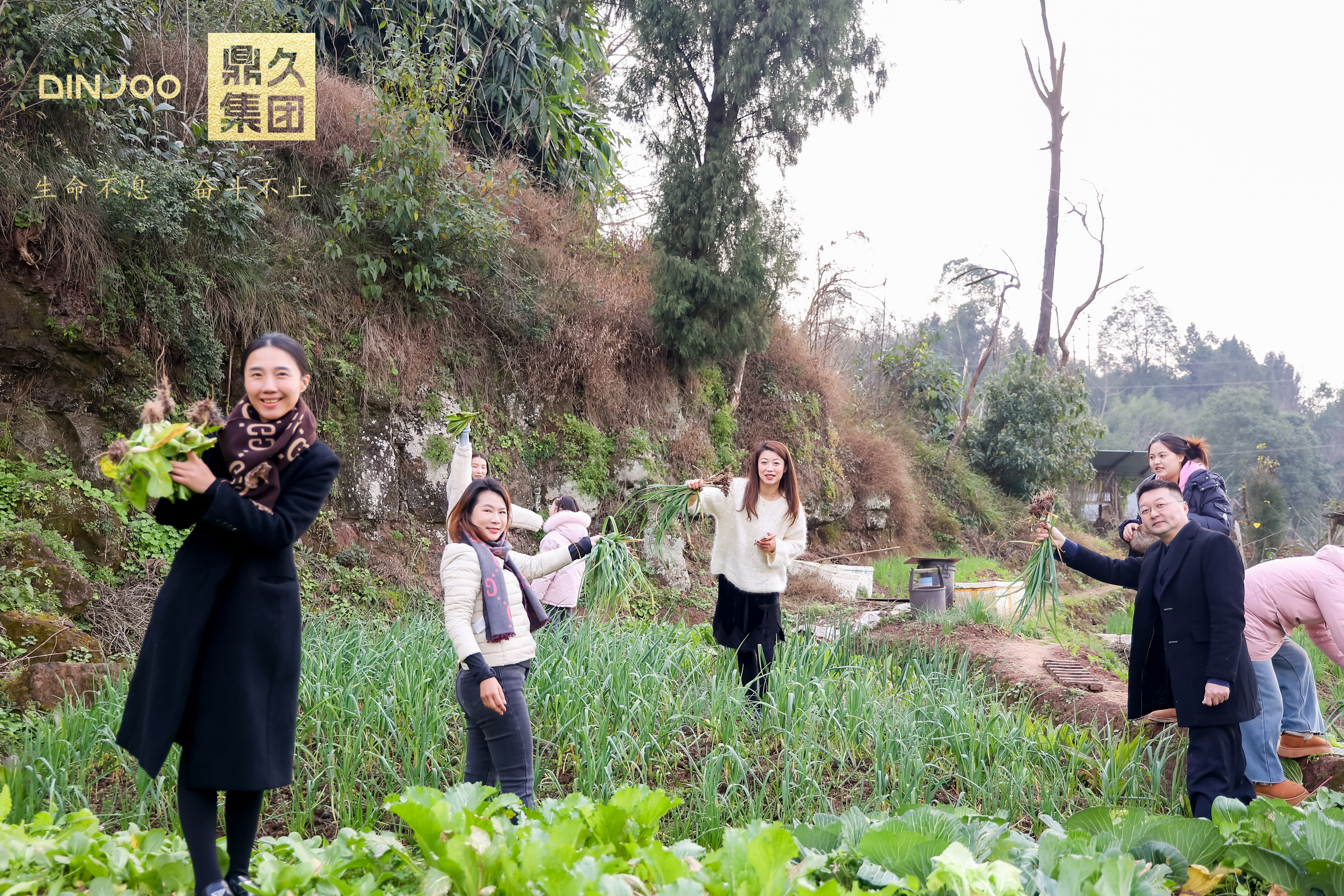 12937552.jpg 12937552.jpg